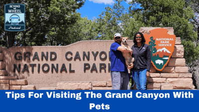 Tips For Visiting The Grand Canyon With Pets