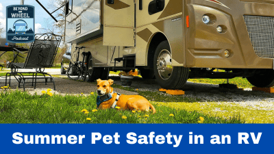 Waggle RV Dog Safety Temperature & Humidity Sensor | 4G Verizon Cellular