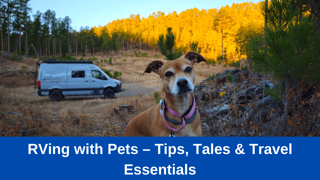 RVing with Pets – Tips, Tales & Travel Essentials